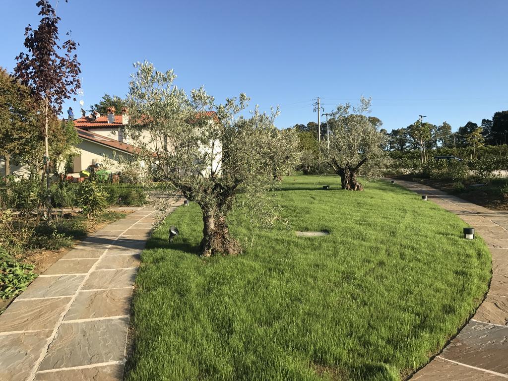Agriturismo La Rinaldina Faenza Exterior photo